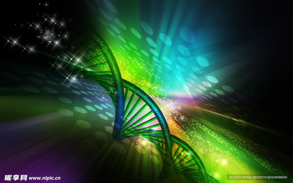 基因DNA