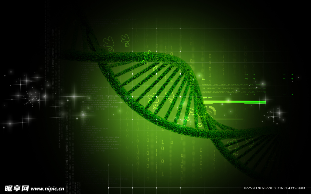 基因DNA