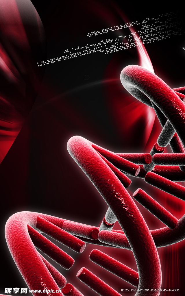 基因DNA