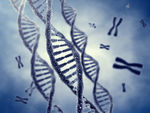 基因DNA