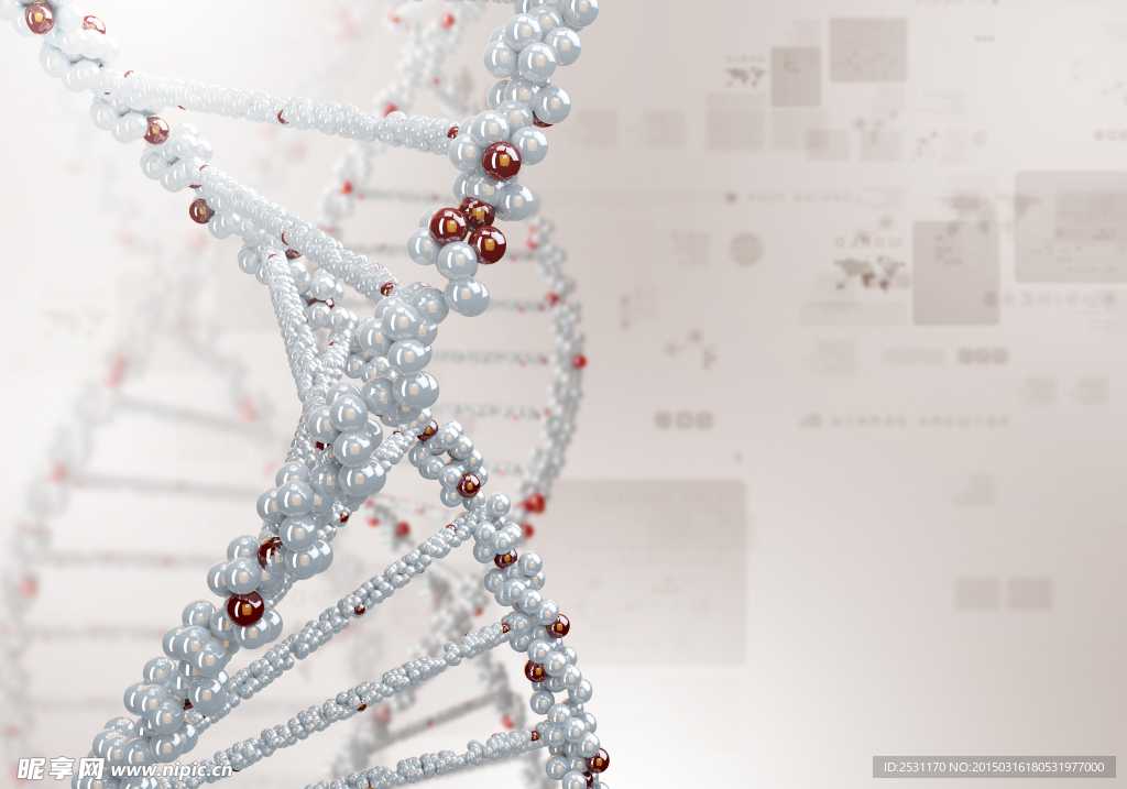 基因DNA
