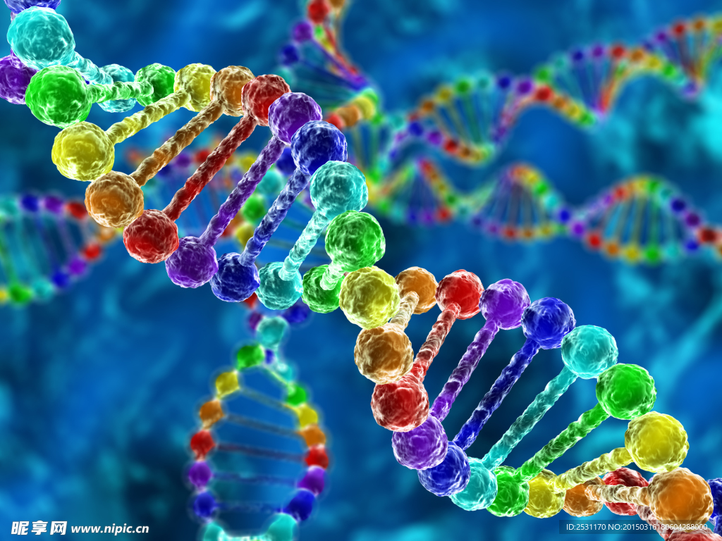 基因DNA