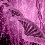 基因DNA