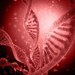 基因DNA