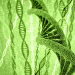 基因DNA