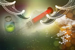 基因DNA