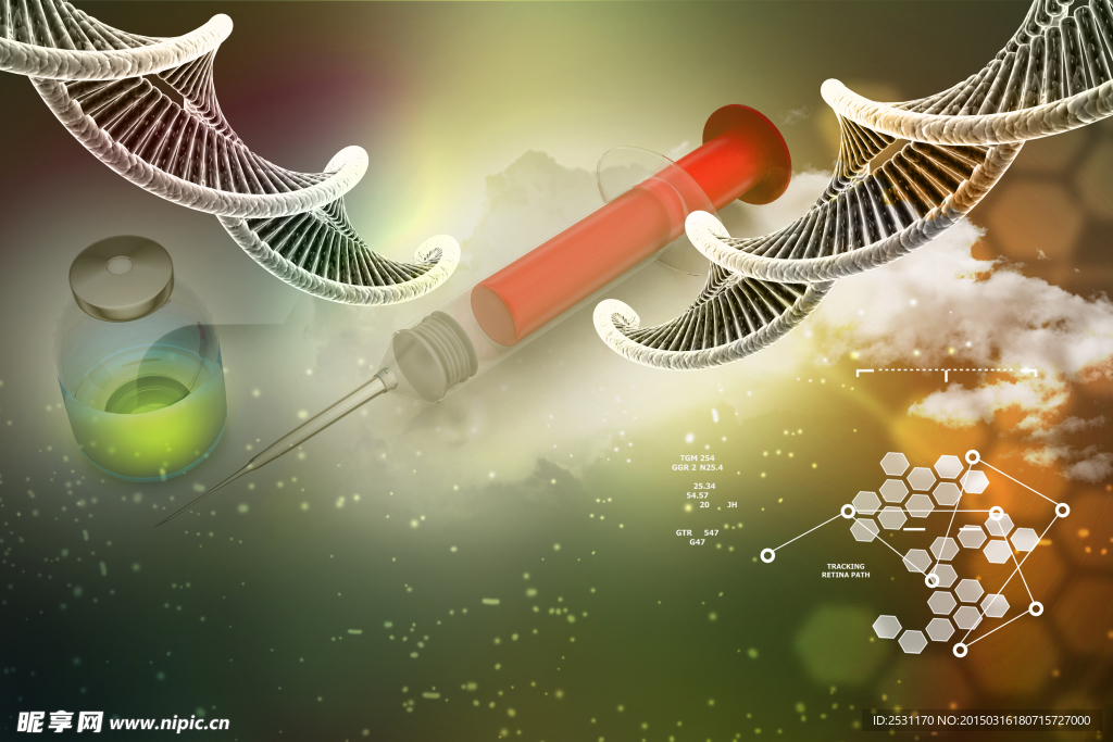 基因DNA