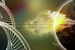 基因DNA