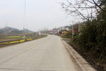 新农村马路