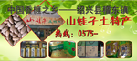 灯箱海报喷绘山娃子香榧土特产