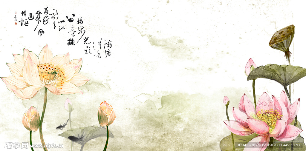 荷花