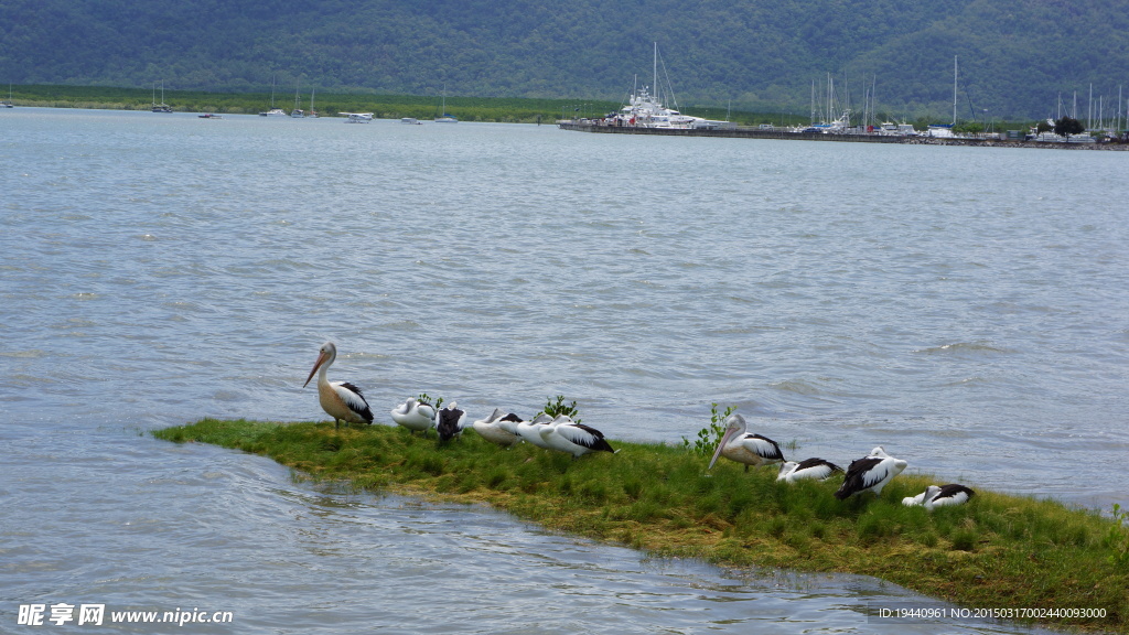 澳洲风景