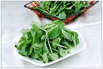 鸡毛菜