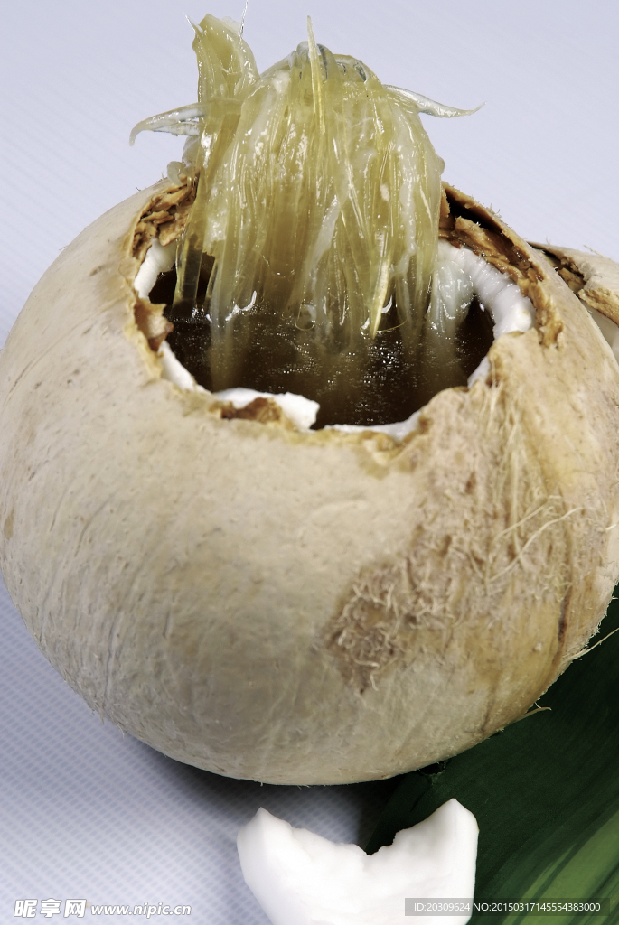 椰青鸡炖鲜翅