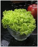 有机大叶菜