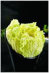 娃娃菜