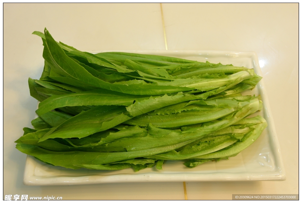 油麦菜
