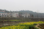 农村风光