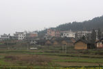 田园风光
