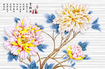 赏牡丹