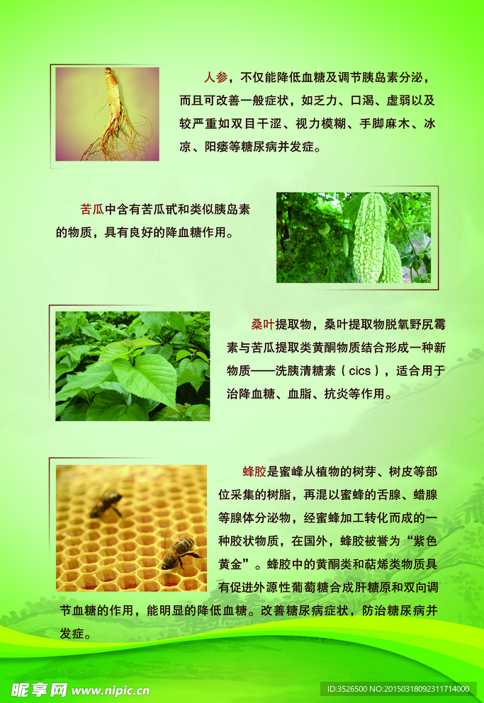 健康养生海报