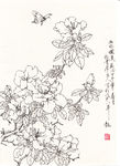 山花烂漫