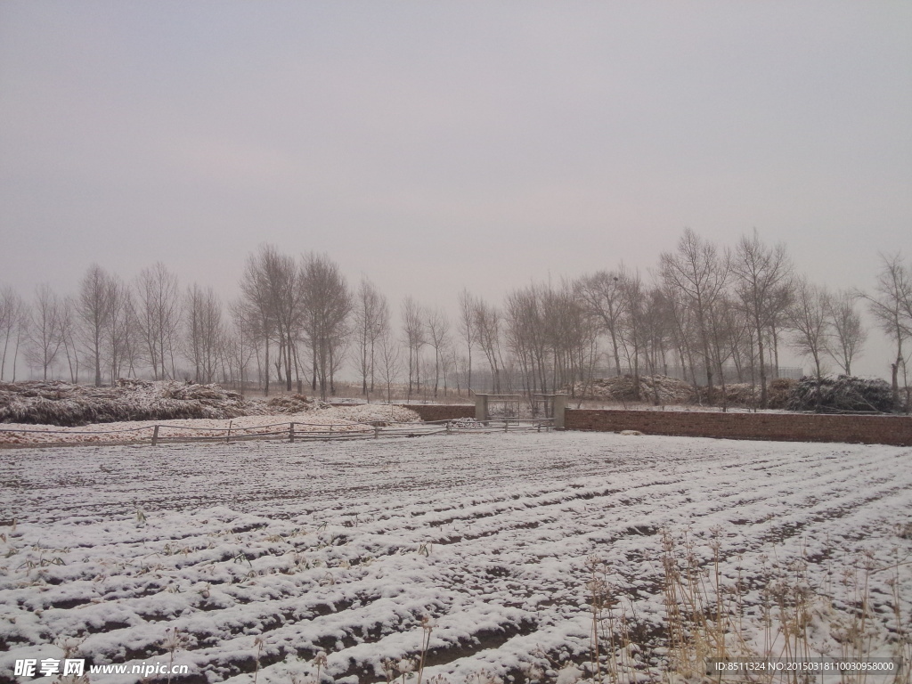 田园风光雪后的大地