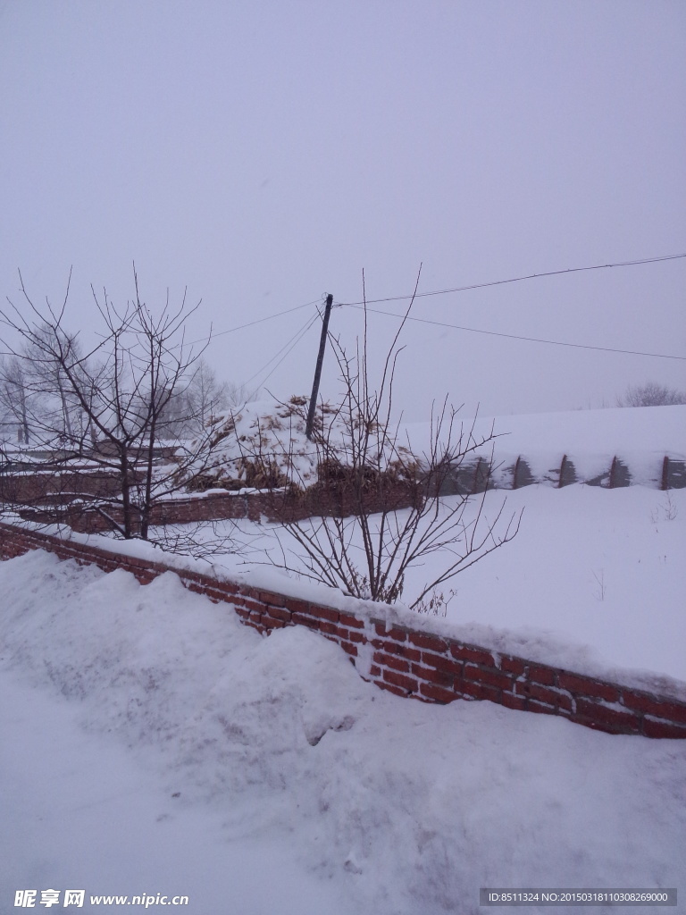 东北农村下大雪