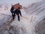 东北农村温室大棚扫雪