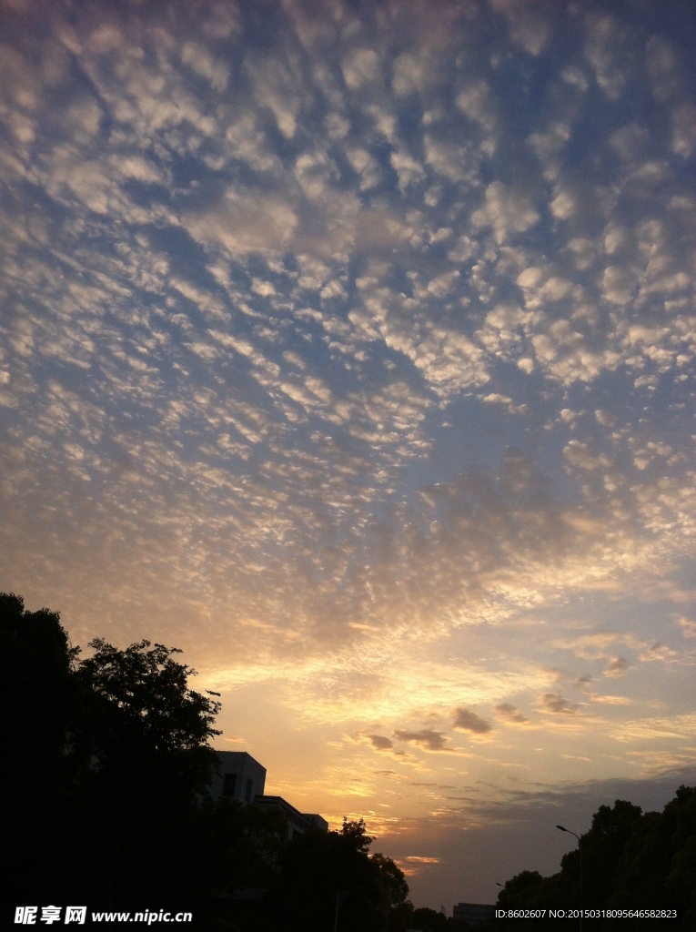 夕阳