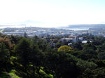 新西兰风景