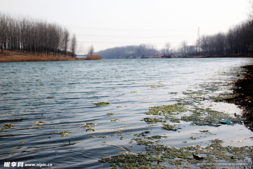 碧水美景