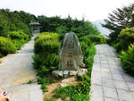 泰山