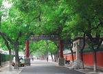 北京国子监