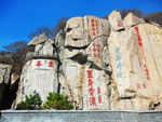 泰山