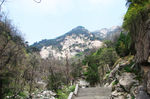 泰山