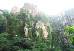 崂山