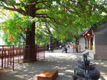 崂山