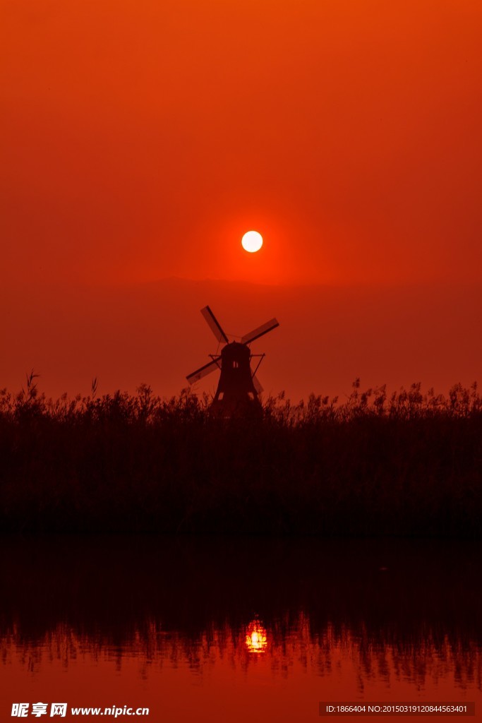 湿地夕阳红