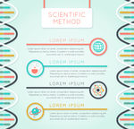 创意DNA科学信息图矢量素材