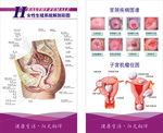 女科