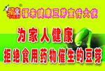 绿色豆芽  绿色背景  食品