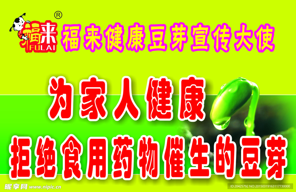 绿色豆芽  绿色背景  食品