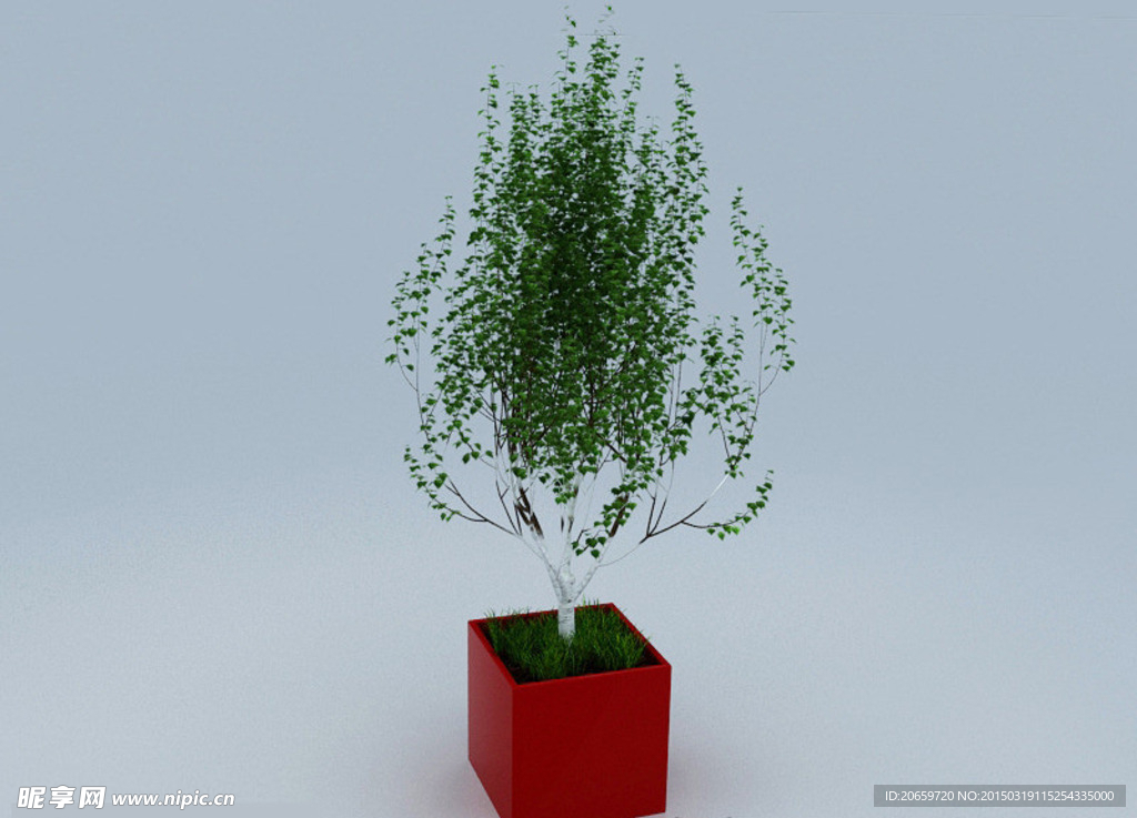 盆栽