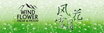 风花雪夜