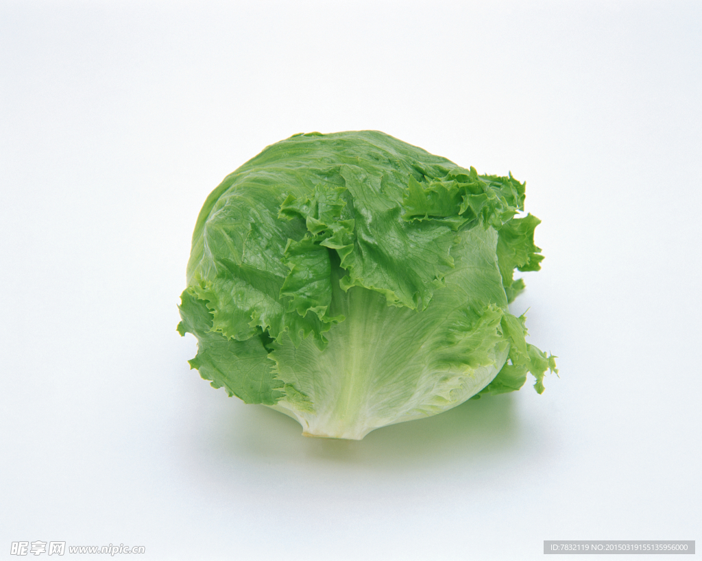 大白菜