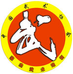 武术
