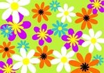 时尚花纹