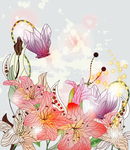 百合花