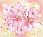 百合花